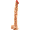 Generique Gode Veinem 36 x 5cm